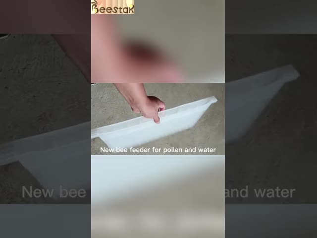 Plastic Bee Entrance Feeder Beehive Top Bee Feeder For Beekeeping