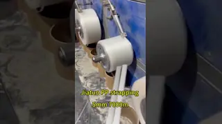 200mm Paper Core 60kg/h Capacity Polypropylene Strapping PP Packing Belt