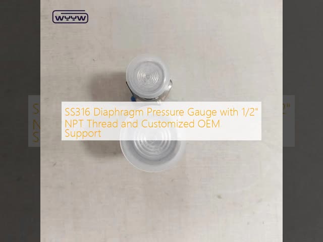 SS316 Diaphragm Pressure Gauge with 1/2