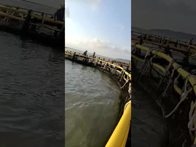 1 Year After-sales Service HDPE Round Floating Cage for Marine Fish Culture