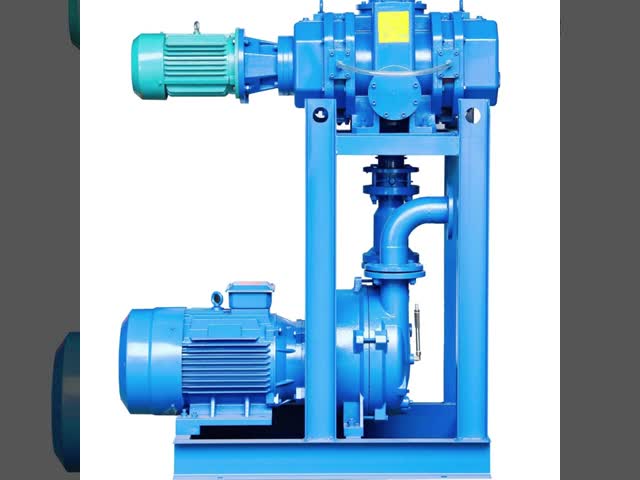 2BV Vacuum Pump Liquid Ring 0.5 To 300m3/Min Cast Iron Stainless Steel