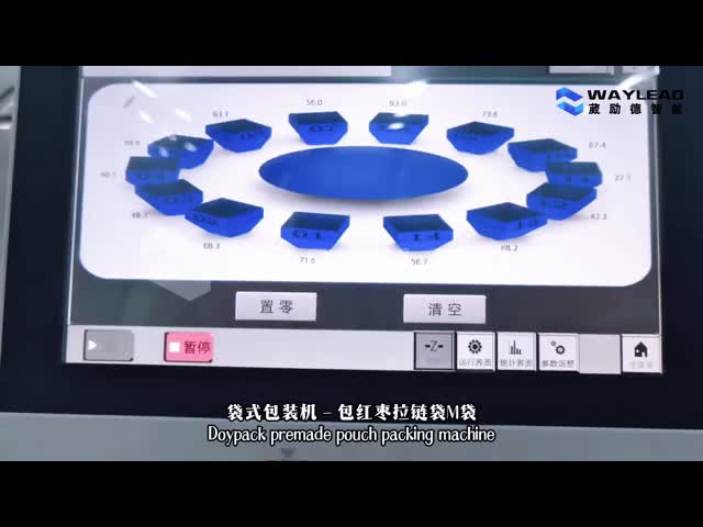 WG-250 Pre made Vertical Pouch Packaging Machine Plastic Food Packing Machine