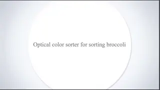 HDF AI-RGB Sorter: Intelligent Innovation, the Choice for Precision—A High-Performance AI Sorting Solution Designed for IQF Fruits and Vegetables