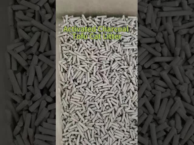 Best Tofu Cat Litter for Odor Control