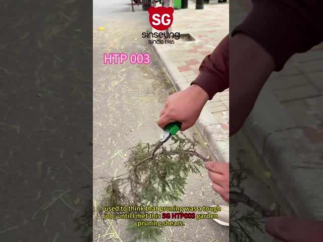 SINSEUNG HTP003 Pruning Razor Sharp Carbon Steel Blade Pointed Garden Scissors Garden Shears for Precision