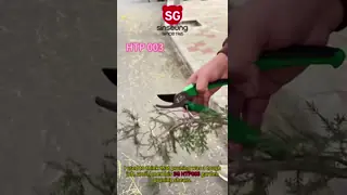 SINSEUNG HTP003 Pruning Razor Sharp Carbon Steel Blade Pointed Garden Scissors Garden Shears for Precision