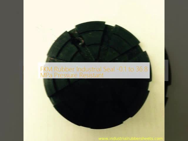 FKM Rubber Industrial Seal -0.1 to 36.8 MPa Pressure Resistant