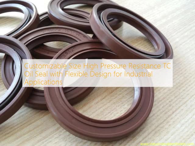 Customizable Size High Pressure Resistance TC Oil Seal with Flexible Design for Industrial Applications
