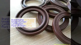 Customizable Size High Pressure Resistance TC Oil Seal with Flexible Design for Industrial Applications