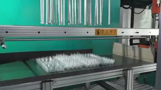 Customized disposable PET babyberry tray with 12 grid food grade vacuum formed inner tray and transparent lid