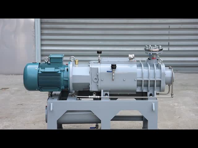LG-10 Dry Vacuum Pump No Oil Corrosion Resistant Low Noise For Industrial Applications