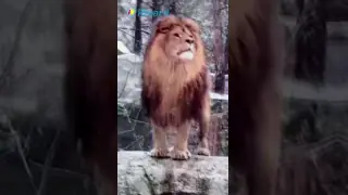 Tavola bianca interattiva multi dimensioni con infrarossi touch e risoluzione 4K per segnaletica digitale