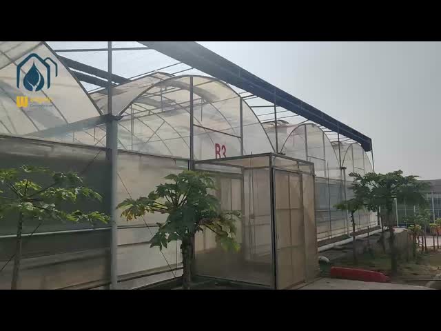 High Light Transmittance Multi Span Greenhouse with Good Ventilation and Strong Structure for Commercial Agriculture