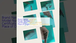 Customized 304 Stainless Steel Pipe Sealing Round Head Variable Diameter Bending