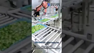 Efficient robot solutions for freeze-drying food production lines 