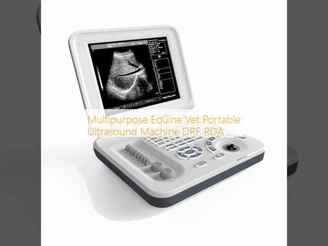 Multipurpose Equine Vet Portable Ultrasound Machine DRF RDA