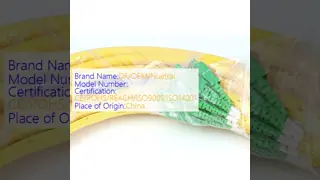 SC-LC 12F Fibra ottica Patchcord con 12,5 mm (Fibra ottica sottounità 2.0 mm) Diametro del cavo