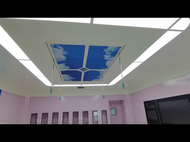 Laminar Flow Ceiling Panel LED Light Laminar Air Flow Ceiling 220V / 50Hz 0.45 M/S Air Velocity