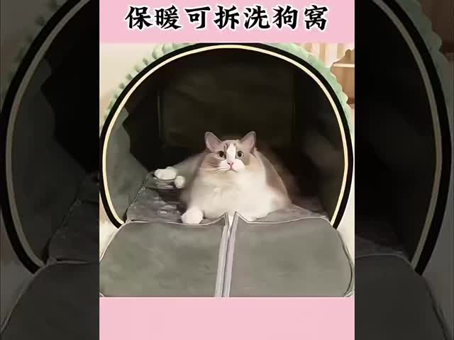 Waterproof Pet Comfortable Shelter With Temperature Control