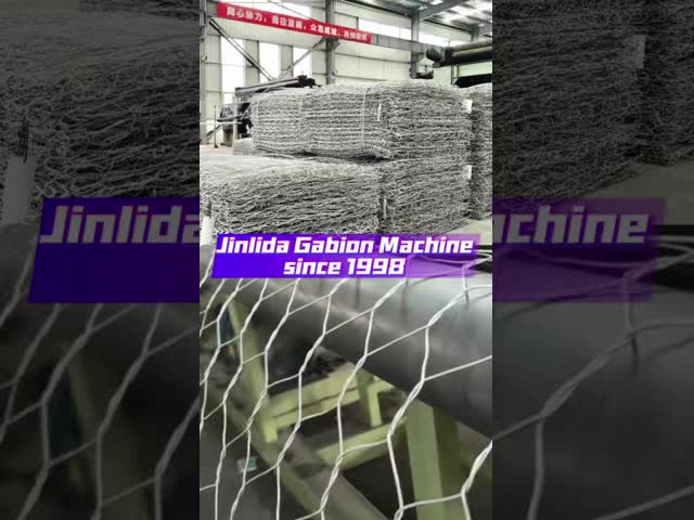 5300mm Galvanized Hexagonal  Double Twist Wire Netting Machineng