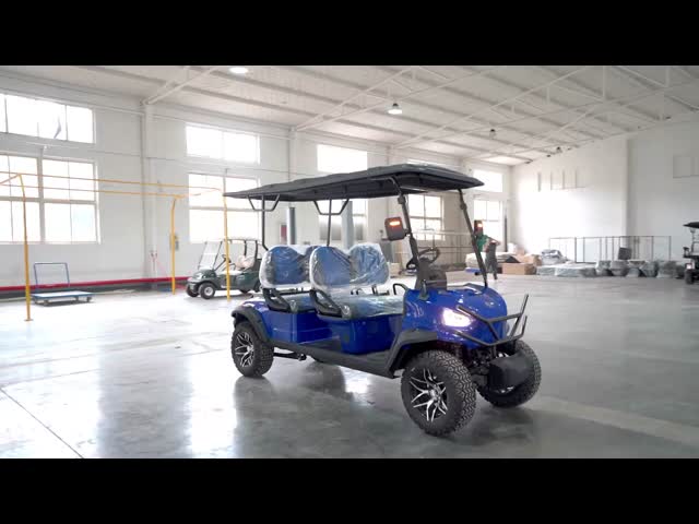 Factory Direct Luxury 2 Seater Golf Cart Golf Buggy Electric Lithium Battery Customizable OEM Supported