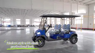Factory Direct Luxury 2 Seater Golf Cart Golf Buggy Electric Lithium Battery Customizable OEM Supported