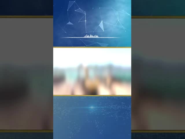 75kw Bvem Vibroflot Equipment Pile Driver Vibro Stone Column Vibroflotation Engineering 426mm