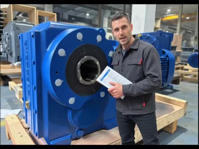 ESA Series Helical Worm Gear Motor with Hollow Shaft Output 0.18KW-22KW Power Range and 92N.m-4000N.m Torque