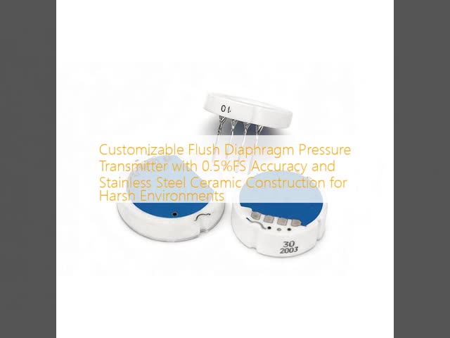 Flush Diaphragm Pressure Transmitter 0.5% Accuracy
