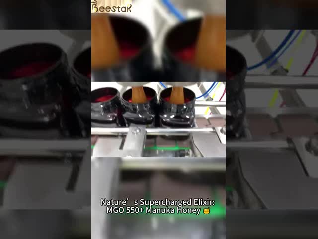 UMF15+ Natural Bee Honey 250g Organic Pure Raw Honey Manuka Honey from New Zealand Natural Bee Honey