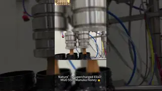 UMF15+ Natural Bee Honey 250g Organic Pure Raw Honey Manuka Honey from New Zealand Natural Bee Honey