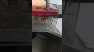 Home Organization Flower Rose Acrylic Storage Box Easy Clean Customized Thickness