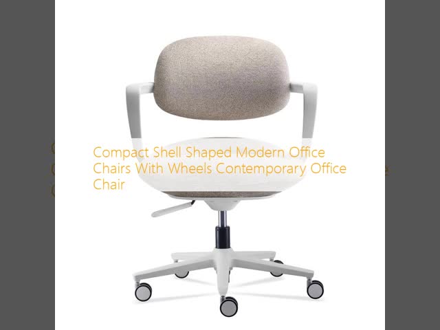Compact Shell Shaped Modern Office Chairs With Wheels Contemporary Office Chair