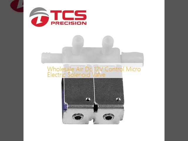Wholesale Air Dc 12V Control Micro Electric Solenoid Valve