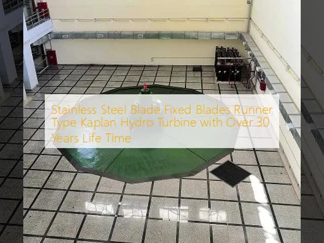 Stainless Steel Blade Fixed Blades Runner Type Kaplan Hydro Turbine with Over 30 Years Life Time