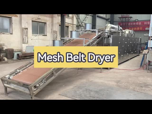 Automatic Energy Saving Multifunctional Mesh Belt Dryer Continuous Mesh Belt Drying Machine