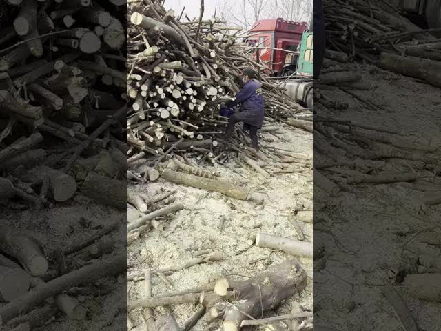 Oregon Chain for Chainsaw 3/8 Pitch Accessories for Wood Cutting