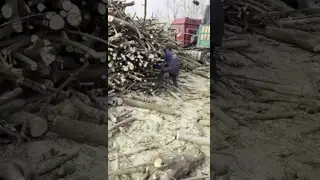 Oregon Chain for Chainsaw 3/8 Pitch Accessories for Wood Cutting