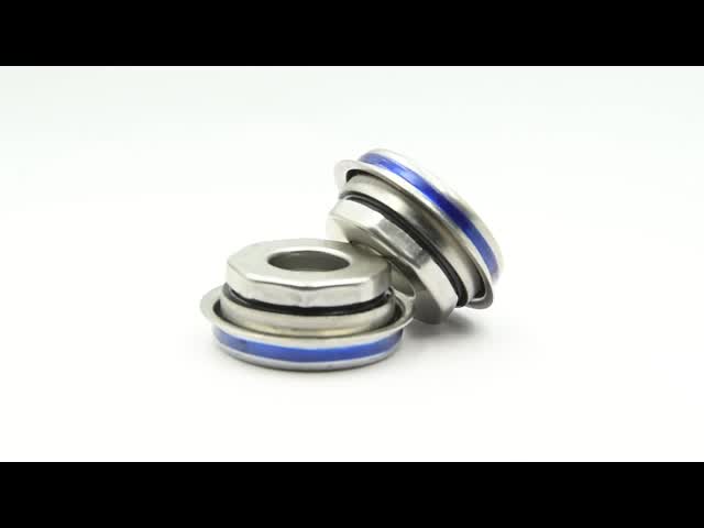 SiC SiC HNBR Auto Mechanical Seal with 12 mm Shaft Diameter for Water Pump Applications