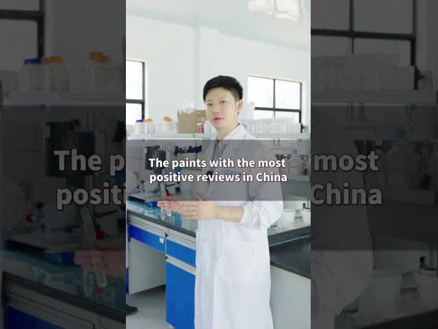 Texture Wall Paint Roller-Applied Coarse Velvet Finish for Interior Use  High Build