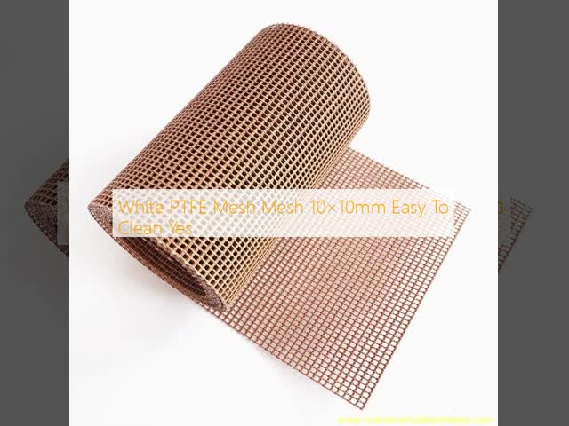 White PTFE Mesh Mesh 10×10mm Easy To Clean Yes