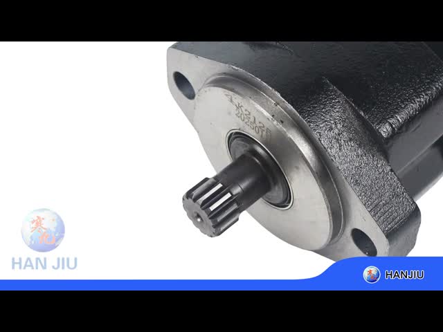 Char-Lynn 104-1958-006 2K Low-Speed Gerotor/Geroler, 2 bolts flange with 13 teeth shaft