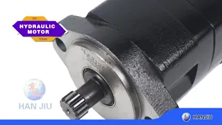 Char-Lynn 104-1958-006 2K Low-Speed Gerotor/Geroler, 2 bolts flange with 13 teeth shaft