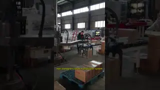 China Automatic conveyor roller supplier