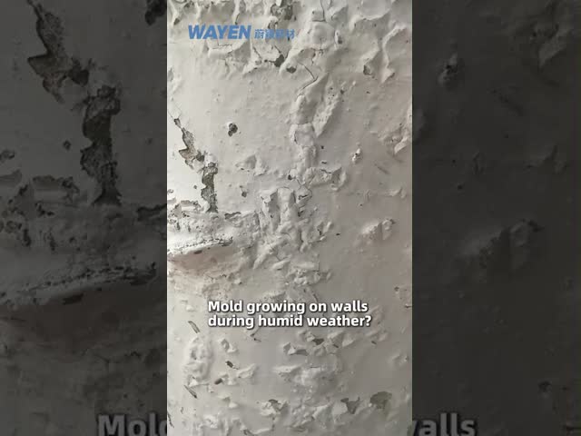 Zero Formaldehyde Breathable Washable Waterborne Paint for Interior Wall Coating Eco-friendly Water-based Paint