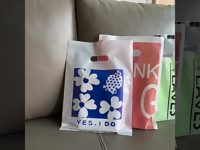 Recyclable LDPE Plastic Ziplock Bags Clothes Packaging Frosted Plastic Bags Suitable for Apparel Protection