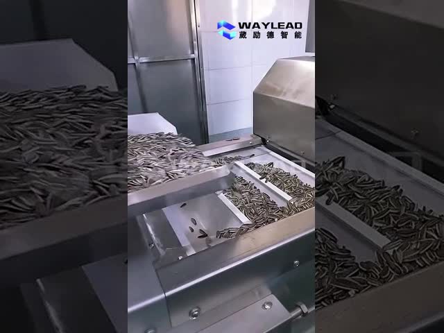 Pouch Packing Machine with 70 Bags/Min Speed and Stainless Steel Construction for Food Processing Plants