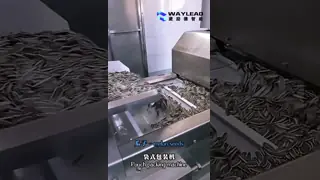 Pouch Packing Machine with 70 Bags/Min Speed and Stainless Steel Construction for Food Processing Plants