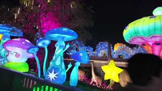 Handmade Mushroom Garden Lanterns - Event & Wedding Lighting Decor