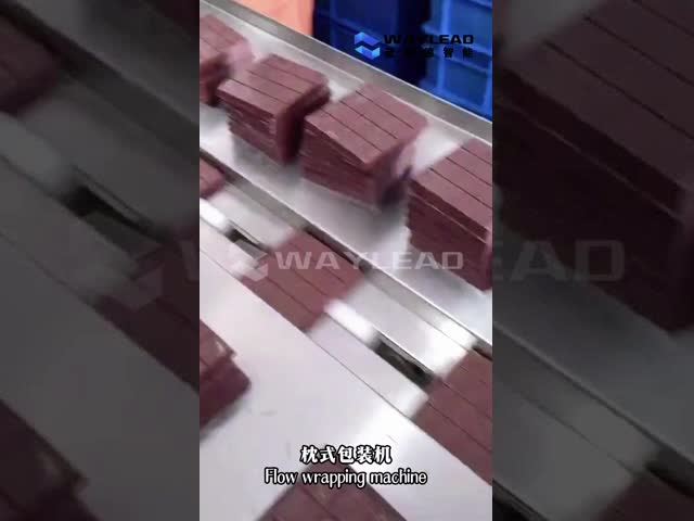 High Performance Automatic Pillow Packing Machine For Food Beverage Shops